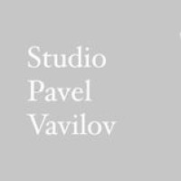 Studio Pavel Vavilov logo - Similar company to Studio Bridge