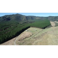 Fazenda São Pedro logo - Similar company to Fazmais - Fazenda Mais Digital