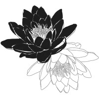 Itihasikala logo - Similar company to Anubavi
