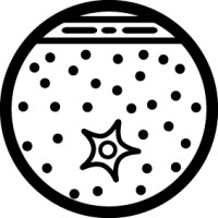 Sporos Regeneration Institute