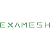 ExaMesh logo - Similar company to Flexhome.Energy