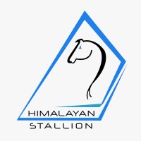 Himalayan Stallion logo - Similar company to Vregular Media