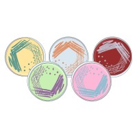 Swiss Young Microbiologist Symposium logo - Similar company to Microbio Laboratory