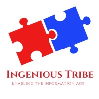 Ingenious Tribe Private Limited logo - Similar company to Gnsf Security