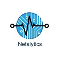 Netalytics Security logo - Similar company to Netalytics Is Now Netsmart - Follow Us @Netsmart