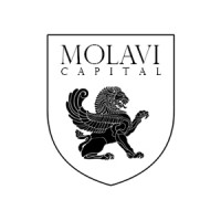 Molavicapital logo - Similar company to Eshtad Energy Engineering Co.