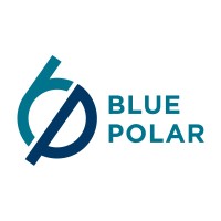 Blue Polar logo - Similar company to Capital Vision