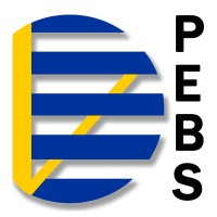 PEBS - Politik-, Engagement- und Bildungsstiftung e. V. logo - Similar company to Anymedia