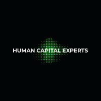 Human Capital Experts logo - Similar company to Bromgrove Group