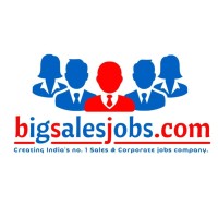 BIG SALES JOBS (Div - Big Ideas HR Consulting Pvt Ltd) logo - Similar company to Adore Visa