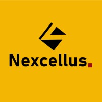 Nexcellus. logo - Similar company to Human Impact Hr