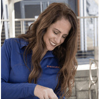 JennyGems logo - Similar company to Mountain Line Transit Authority