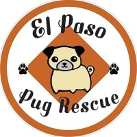 El Paso Pug Rescue