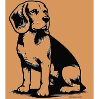Beagle Consulting Group, LLC logo - Similar company to Stayahead Training Ltd