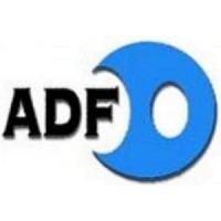 Pt Adis Dimension Footwear