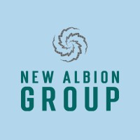 New Albion Group logo - Similar company to Bitjem