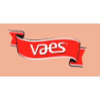 Vaes S.R.L