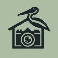 Pelican Eye Real Estate Media logo - Similar company to Daniels Studio