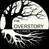Overstory Alliance logo - Similar company to Contrast Designworks