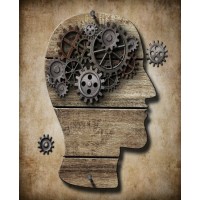 Brain and Body Integration logo - Similar company to Templify