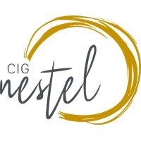 CIG Nestel logo - Similar company to Onlinepsyhulp