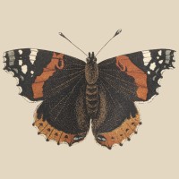 Labyrinth Art and Wellness, LLC logo - Similar company to Engagedminds Continuing Education