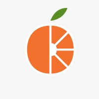 Orange Digisolutions logo - Similar company to Freightzulu