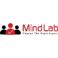 Mindlab logo - Similar company to Mindlab Inc