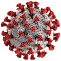 Coronavirus Crisis Emergency Management Group logo - Similar company to Back To Your Body - Online Somatic Therapy