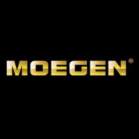 Moegen Official logo - Similar company to Anantaka Quant Capital