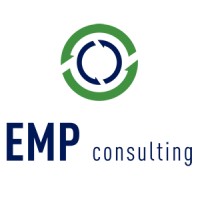EMP Consulting logo - Similar company to Bimetriks Llc