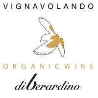 Vignavolando Sas Di Cocco Fernando & C. logo - Similar company to Lead Broker & Consulting