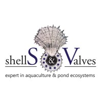 Shells & Valves logo - Similar company to Mantis Consulting