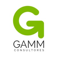 Gamm Consultores