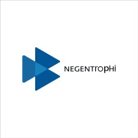 Negentrophi logo - Similar company to Negentropy Solutions Pvt Ltd