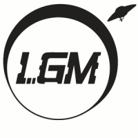 Little Green Men Games / Intercorona d.o.o. logo - Similar company to Protopixel