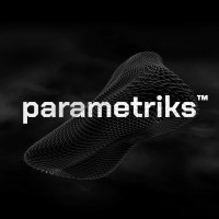 Parametriks logo - Similar company to Afrobloomy