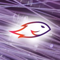 Fyrefish Technologies logo - Similar company to Touchécomm