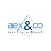 Aex&co logo - Similar company to B2D Consult
