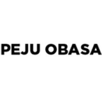 Peju Obasa logo - Similar company to The Kairos Assistant