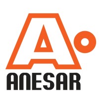 ANESAR logo - Similar company to Azarplus
