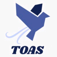 Taxolution & Offshore Accounting Services logo - Similar company to Professional Plus