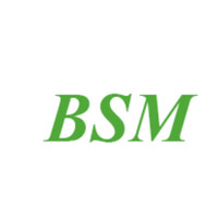 BSM PAINT logo - Similar company to Socomix