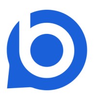 Brave IT Solutions logo - Similar company to Endlessideas