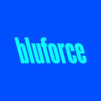bluforce logo - Similar company to Solid & Bold
