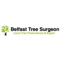 Belfast Tree Surgeon logo - Similar company to Mcauley Tree Surgery