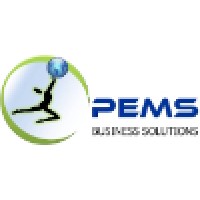 Professional Executive Management Services