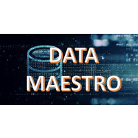 Data Maestro logo - Similar company to Data Migrators