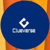 Clueverse logo - Similar company to Citiwave