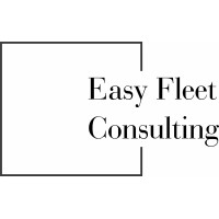 Easy Fleet Automotive Consulting logo - Similar company to Mazmobi